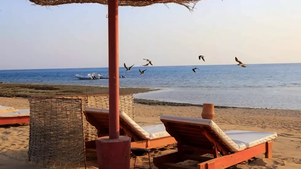 Viešbutis „GEMMA RESORT“ (Marsa alamas, Hurgada, Egiptas)