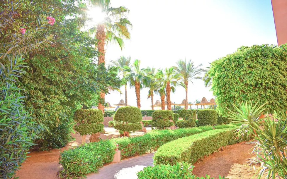 Viešbutis „PARROTEL AQUA PARK RESORT (EX. PARK INN)“ (Sharm el Sheikh, Egiptas)