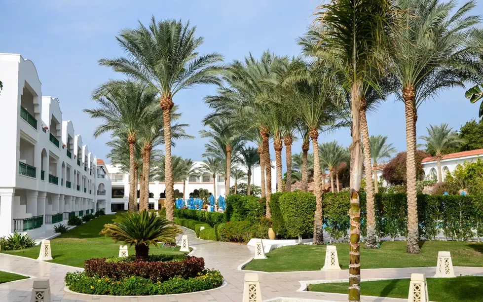 Viešbutis „BARON PALMS RESORT“ (Sharm el Sheikh, Egiptas)