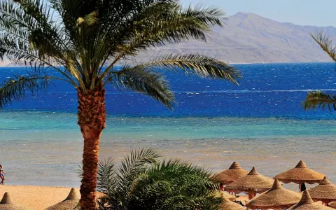 Viešbutis „BARON PALMS RESORT“ (Sharm el Sheikh, Egiptas)