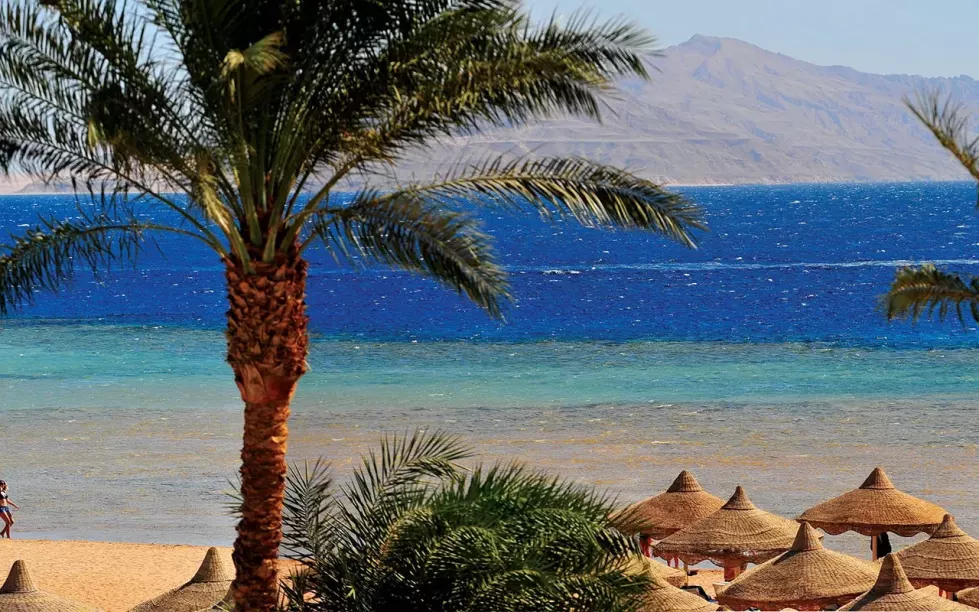 Viešbutis „BARON PALMS RESORT“ (Sharm el Sheikh, Egiptas)
