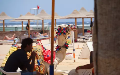 Viešbutis „CONCORDE MOREEN BEACH RESORT“ (Marsa alamas, Hurgada, Egiptas)