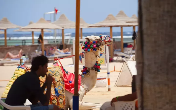 Viešbutis „CONCORDE MOREEN BEACH RESORT“ (Marsa alamas, Hurgada, Egiptas)