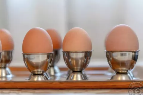 Viešbutis „APOLLO“ (Riminis, Italija)