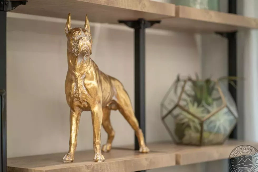 Viešbutis „CLUB MEETING“ (Riminis, Italija)