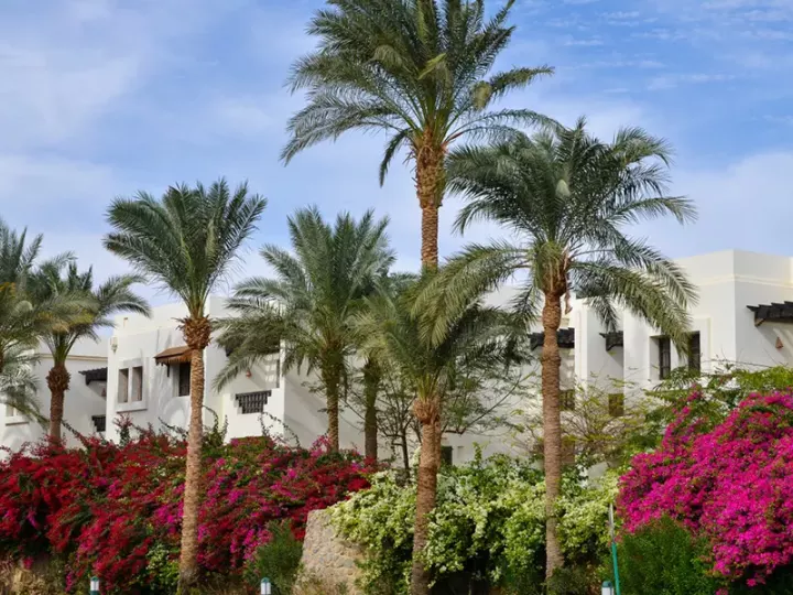 Viešbutis „SHARM PLAZA (EX. CROWNE PLAZA RESORT)“ (Sharm el Sheikh, Egiptas)