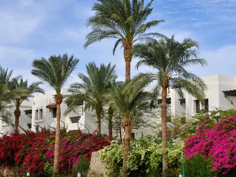 Viešbutis „SHARM PLAZA (EX. CROWNE PLAZA RESORT)“ (Sharm el Sheikh, Egiptas)