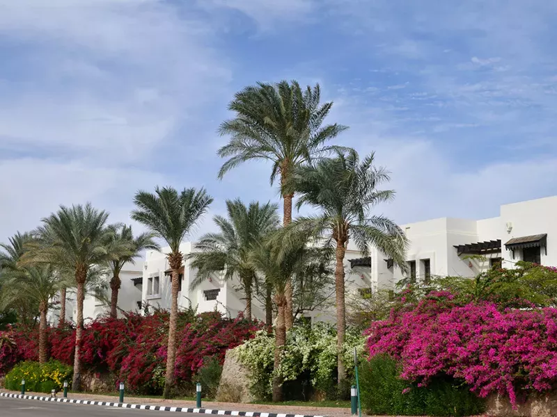 Viešbutis „SHARM PLAZA (EX. CROWNE PLAZA RESORT)“ (Sharm el Sheikh, Egiptas)