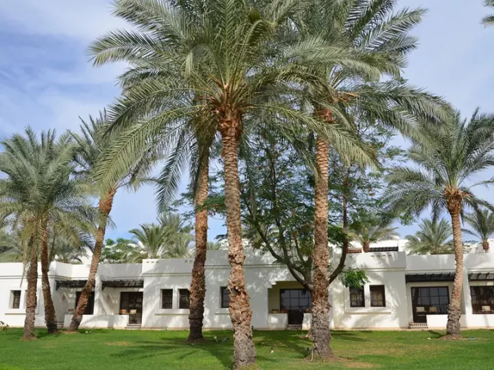 Viešbutis „SHARM PLAZA (EX. CROWNE PLAZA RESORT)“ (Sharm el Sheikh, Egiptas)