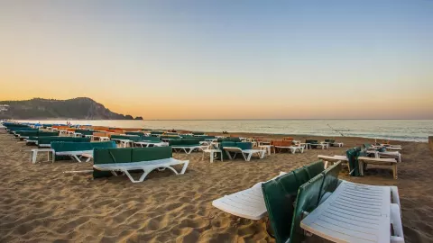 Viešbutis „KLEOPATRA ROYAL PALM“