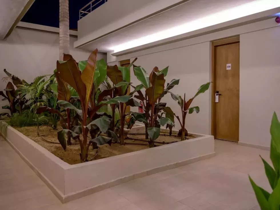 Viešbutis „ZEUS HOTELS YDORIA RESORT“ (Kreta, Graikija)