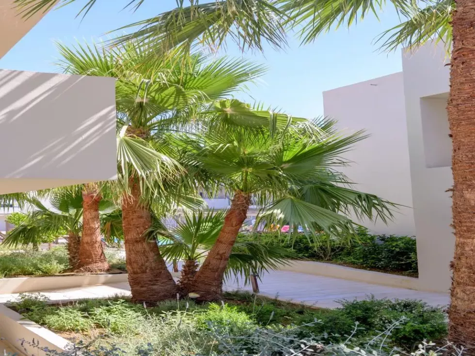 Viešbutis „ZEUS HOTELS YDORIA RESORT“ (Kreta, Graikija)