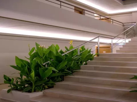 Viešbutis „ZEUS HOTELS YDORIA RESORT“ (Kreta, Graikija)