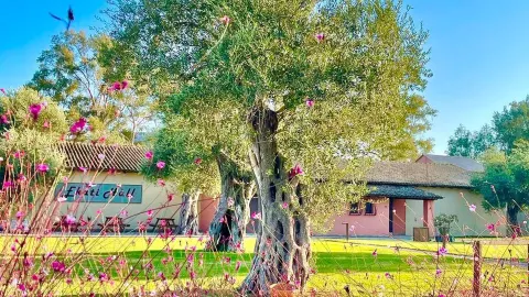 Viešbutis „CANVAS BY MITSIS MESSONGHI (EX. MESSONGHI BEACH)“ (Korfu, Graikija)