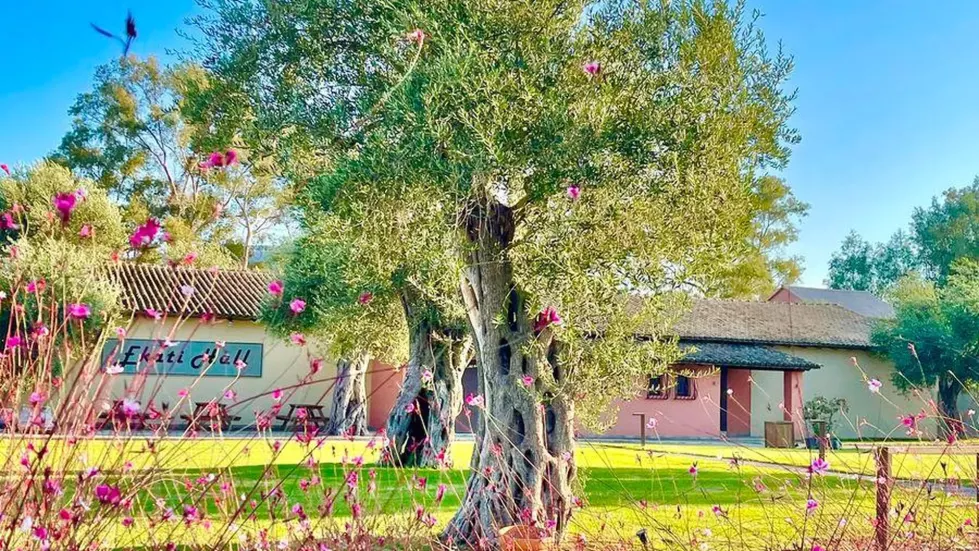 Viešbutis „CANVAS BY MITSIS MESSONGHI (EX. MESSONGHI BEACH)“ (Korfu, Graikija)