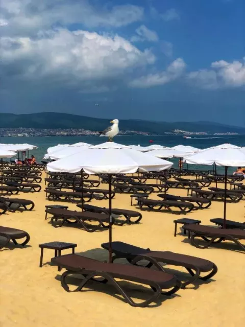 Viešbutis „FLAMINGO BEACH“ (Burgasas, Bulgarija)