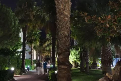 Viešbutis „ESTIVAL PARK“