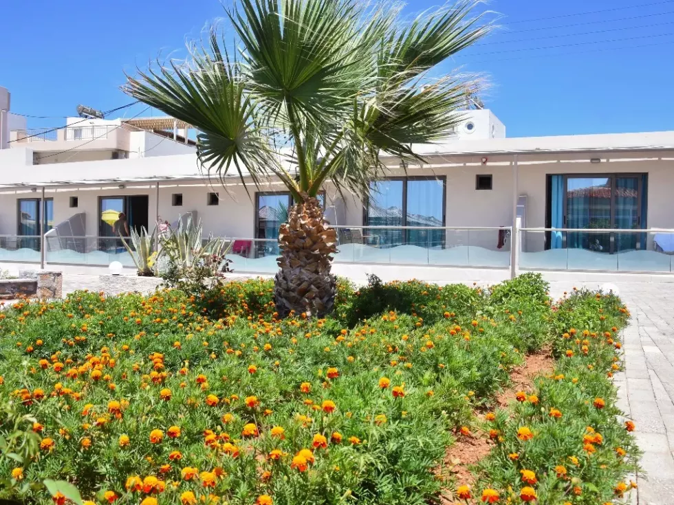 Viešbutis „KALIA BEACH“ (Kreta, Graikija)