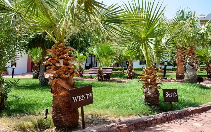 Viešbutis „TROPITEL DAHAB“