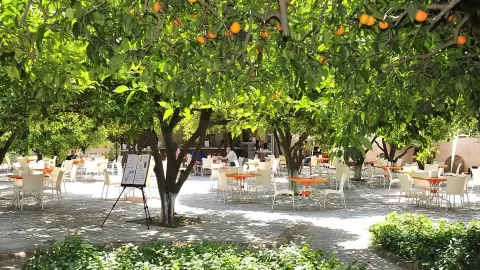 Viešbutis „NOXINN CLUB HOTEL“ (Alanija, Turkija)