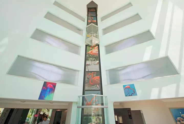 Viešbutis „FLAMINGO HOTEL“ (Marmaris, Turkija)