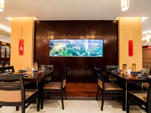 Viešbutis „CITYMAX HOTELS BUR DUBAI“ (Dubajus, Jugtiniai Arabų Emyratai)