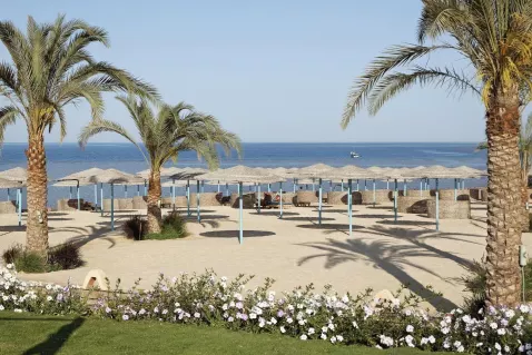 The Three Corners Sunny Beach Resort-27717