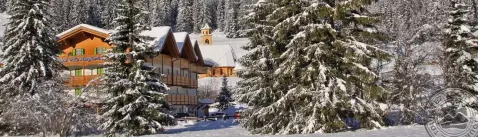 Viešbutis „X ALP HOTEL“