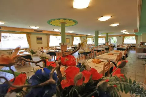 Viešbutis „X ALP HOTEL“