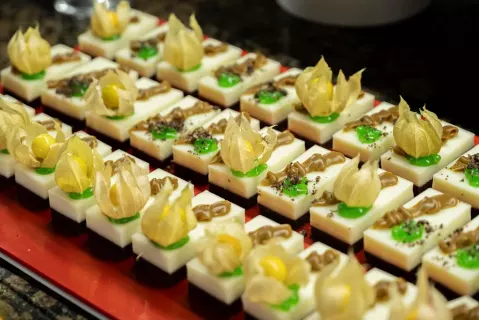 Viešbutis „EUPHORIA PALM BEACH“ (Antalija, Turkija)