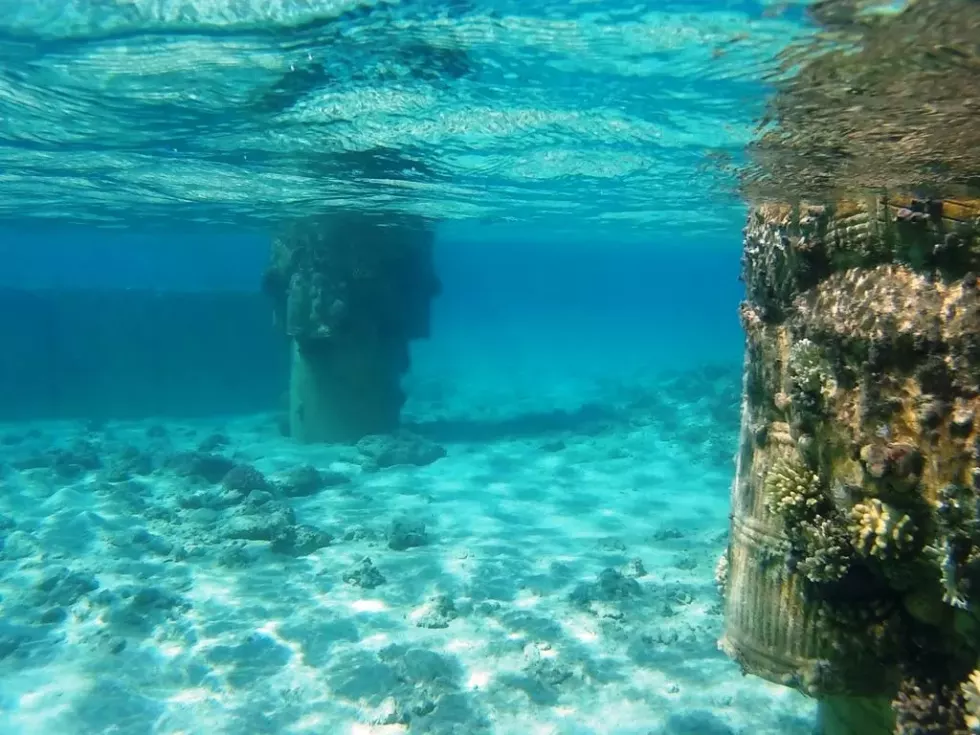 Viešbutis „PYRAMISA SAHL HASHEESH“ (Hurgada, Egiptas)