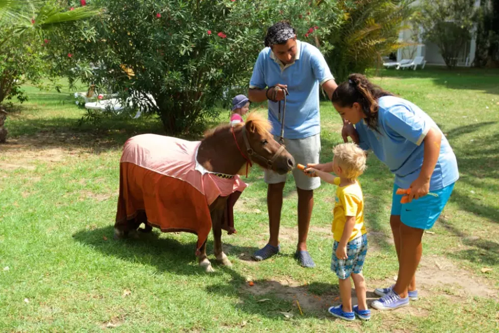 Viešbutis „MAHDIA BEACH & AQUA PARK“ (Mahdija, Enfida, Tunisas)