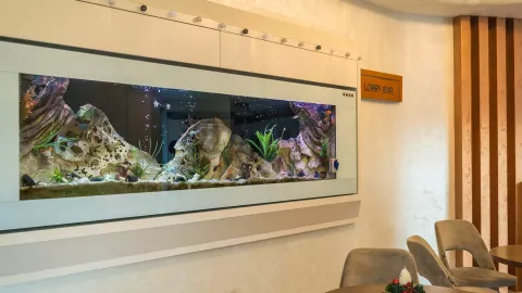 Viešbutis „HOTEL KADMO BY AYCON“ (Budva, Tivatas, Juodkalnija)