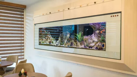 Viešbutis „HOTEL KADMO BY AYCON“ (Budva, Tivatas, Juodkalnija)