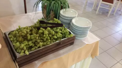 Viešbutis „SABINA HOTEL“ (Theologos, Rodo sala, Graikija)