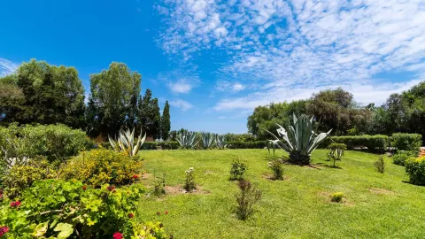 Viešbutis „SABINA HOTEL“ (Theologos, Rodo sala, Graikija)