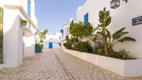 Diar Lemdina (Enfida, Tunisas)