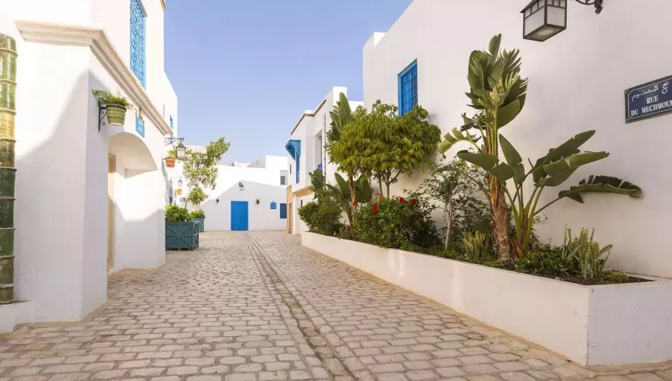 Diar Lemdina (Enfida, Tunisas)