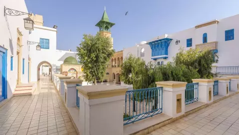 Diar Lemdina (Enfida, Tunisas)