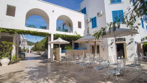 Aleksandar (Tivatas, Juodkalnija - Kroatija)