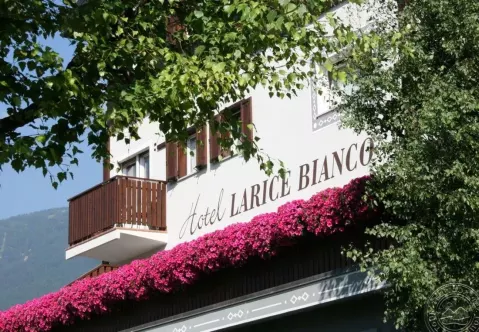 Viešbutis „LARICE BIANCO HOTEL“