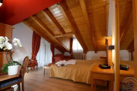 Viešbutis „MEDIL WELLNESS & FAMILY HOTEL“