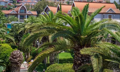 Viešbutis „QUATTRO FAMILY CLUB DEM HOTEL“ (Alanija, Turkija)
