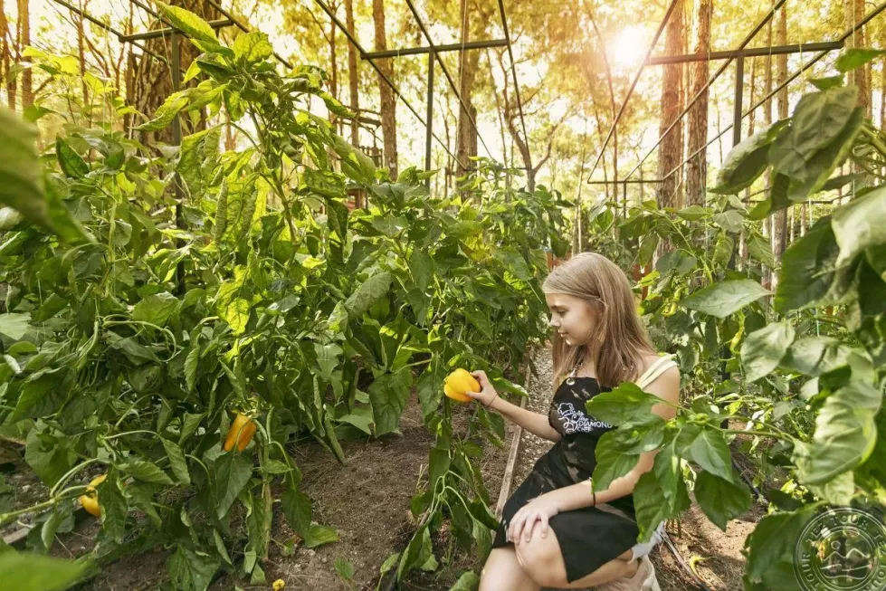 Viešbutis „RIXOS SUNGATE“ (Kemeras, Turkija)