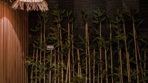 Viešbutis „LIU RESORTS“ (Sidė, Turkija)