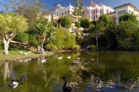 Viešbutis „BAHIA DEL DUQUE“ (Kosta adechė, Tenerifė, Ispanija)
