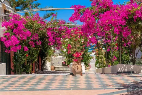 Viešbutis „HYDRAMIS PALACE BEACH RESORT“ (Georgioupolis, Kreta, Graikija)