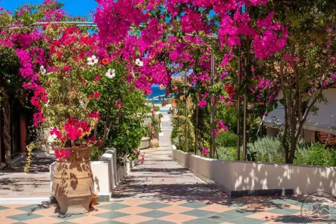 Viešbutis „HYDRAMIS PALACE BEACH RESORT“ (Georgioupolis, Kreta, Graikija)