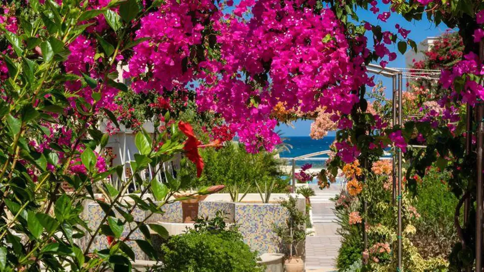 Viešbutis „HYDRAMIS PALACE BEACH RESORT“ (Georgioupolis, Kreta, Graikija)