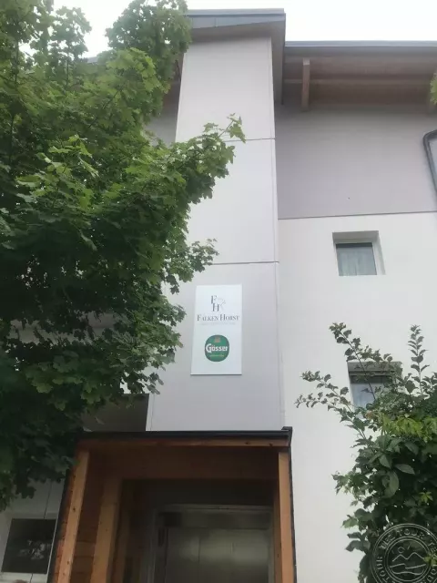 Viešbutis „FALKEN HORST LIENZ BED & ROOMS“